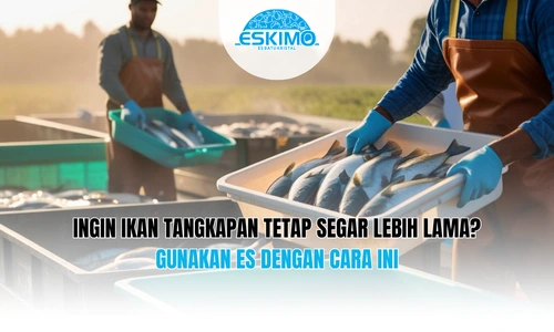 Ingin Ikan Tangkapan Tetap Segar Lebih Lama Gunakan Es dengan Cara Ini