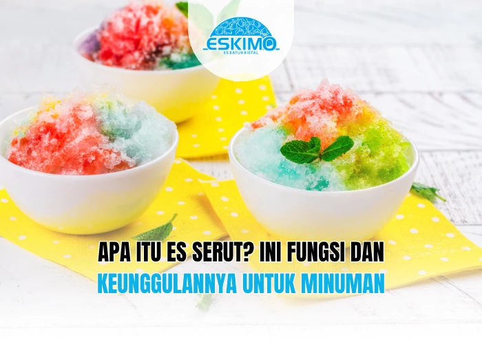 Apa Itu Es Serut Ini Fungsi dan Keunggulannya untuk Minuman