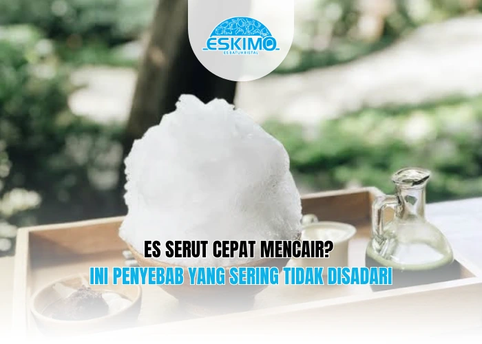 Es Serut Cepat Mencair Ini Penyebab yang Sering Tidak Disadari