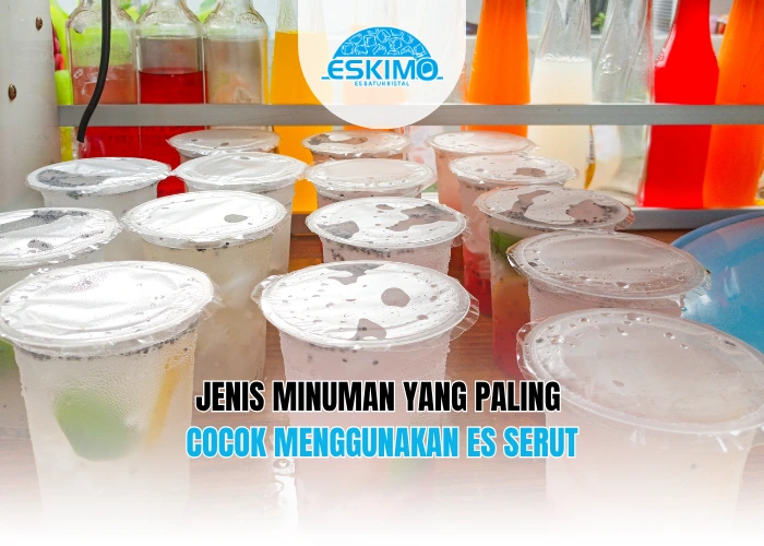 Jenis Minuman yang Paling Cocok Menggunakan Es Serut