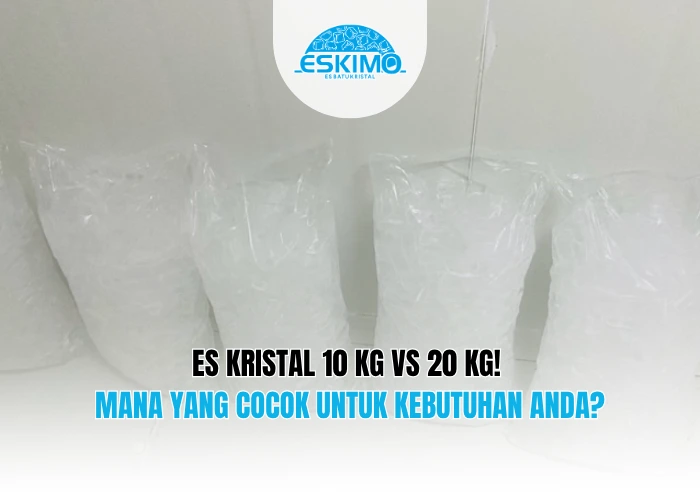 Es Kristal 10 Kg vs 20 Kg! Mana yang Cocok untuk Kebutuhan Anda